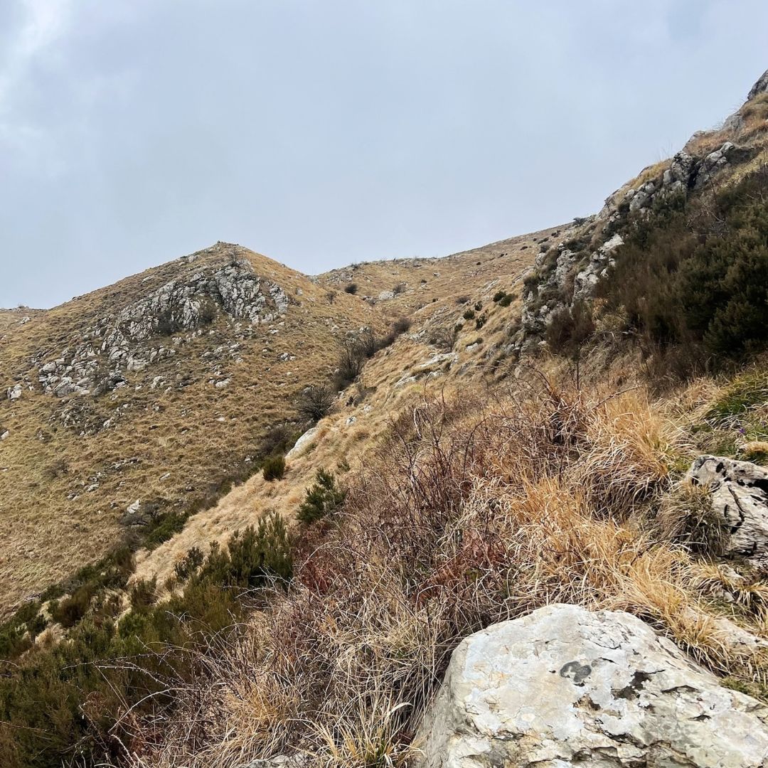 Monte Prana che spettacolo - immagine 4
