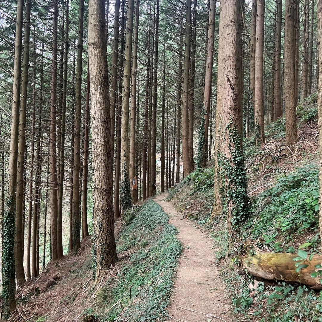 Monte Prana che spettacolo - immagine 2
