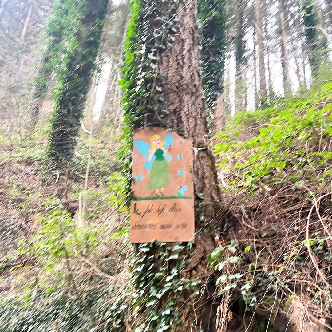 Monte Prana che spettacolo - immagine 10