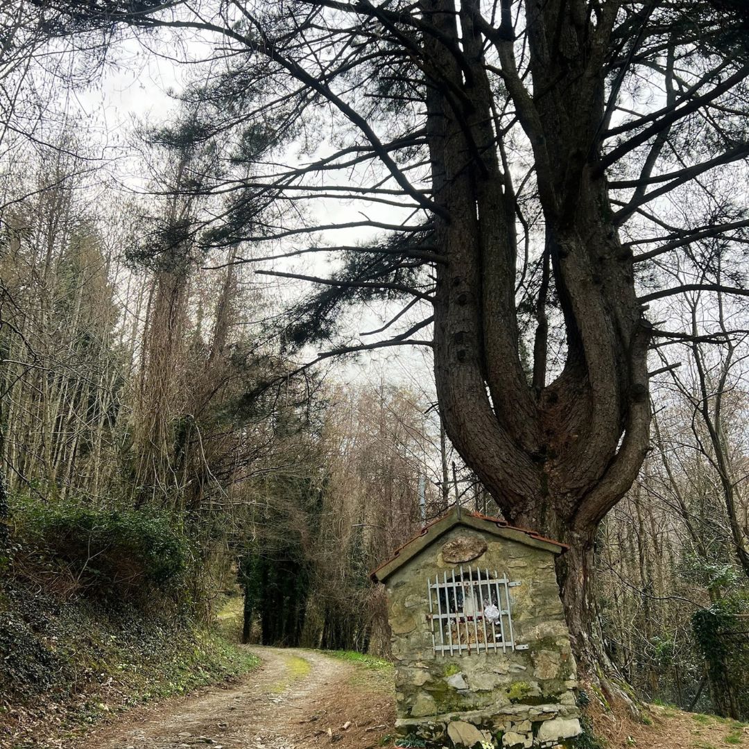 Monte Prana che spettacolo - immagine 8